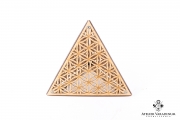  Tetraedru corp geometric platonic ornamental S